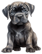 Bügelbild Cane Corso