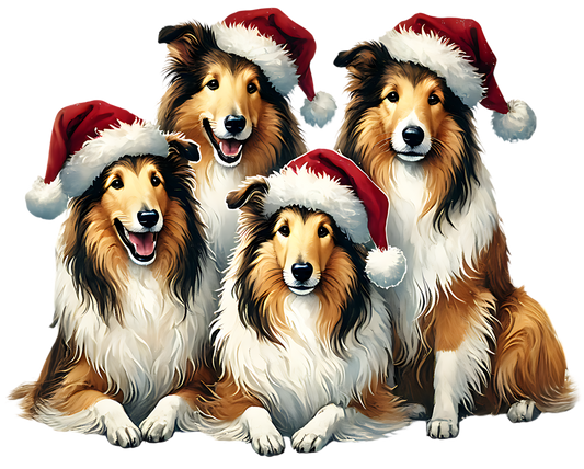 Bügelbild Weihnachtscollie