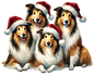 Bügelbild Weihnachtscollie